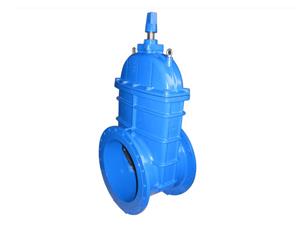 國(guó)標(biāo)地下軟密封閘閥