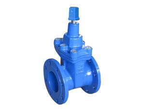 國(guó)標(biāo)軟密封閘閥