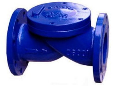 橡膠瓣止回閥.jpg 橡膠瓣止回閥.jpg